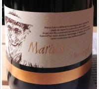 Mas Angel - Marius