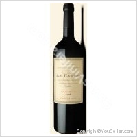 D.V. Catena - Syrah 