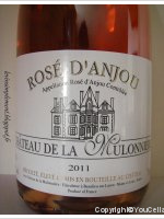 Château de la Mulonnière
