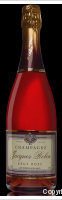 Jacques Robin - Brut