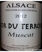 L'or du Terroir - Muscat