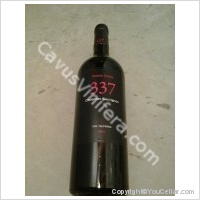 Noble vines 337