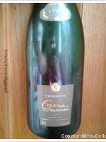 Pannier - Égérie de Pannier - Brut