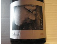 Daniel Savart - Calliope