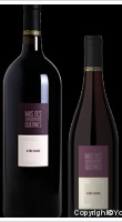 Mas des Quernes - Villa Romaine