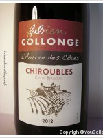 Fabien Collonge - L'Aurore des Côtes