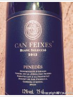 Can Feixes