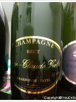 Jean-Claude Verlet - Brut