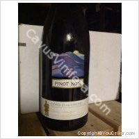 Cave Saint-Verny - Pinot noir