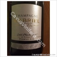 Gabriel et Fils - Premier Cru
