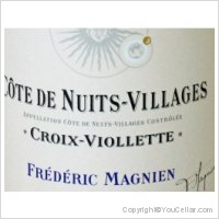 Frédéric Magnien - Croix Violette