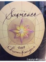 Sapience