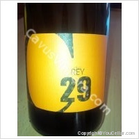 Rey - C 29