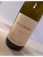 Sylvain badel - Eternel
