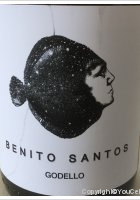 Benito Santos - Godello
