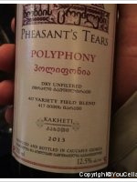 Pheasant's Tears - Polyphony