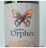 Papillon d'Orphée