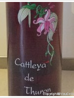 Cattleya de Thuron