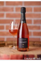 Philippe Gamet - Brut