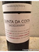 Quinta da Costa - Das Aguaneiras