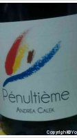 Andréa Calek - Pénultième