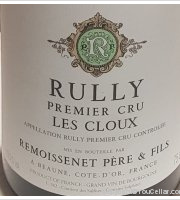 Remoissenet Père et Fils - 1er Cru Les Cloux