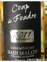 Sadi Malot - Coup de Foudre