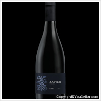 Xavier Vins