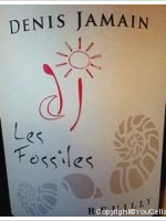 Denis Jamain - Les fossiles