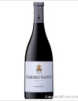 Ribeiro Santo