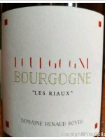 Domaine Renaud Boyer - Les Riaux
