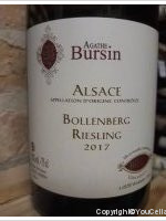 Agathe Bursin - Bollenberg