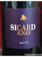 Sicard ignan