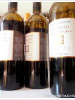 Fabre Cordon - Carignan