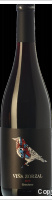 Viña Zorzal - Graciano