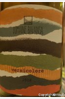 Domaine Balansa - versicolore