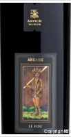 Xavier Vins - Arcane - Le Fou