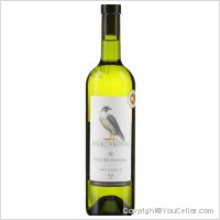 Aargauer - Riesling-Sylvaner Falkenkönig