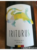 Bacquaert Martin - Triturus