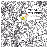 Jeff Carrel - Pas vu pas pris
