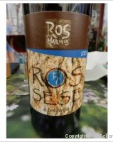 Rosmarinus