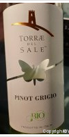 Torrae del Sale - Bio - Pinot Grigio