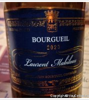 Domaine Laurent Mabileau