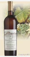 Château d'Auvernier - Chardonnay élevé en barriques