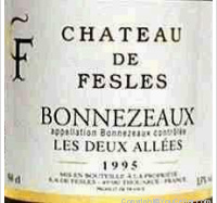Château de Fesles - Les Deux Allées