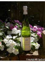 Domaine Kientzler - Grand Cru Osterberg