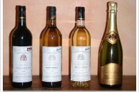 Château Laroque - Ambre et Lumière