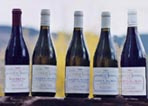 Domaine Hubert Lamy - 1er Cru Sur le Sentier du Clou