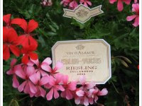 Domaine Eblin-Fuchs