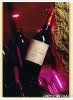Château Les Arromans de Garde